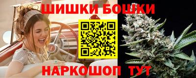 крисы Будённовск