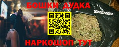 крисы Будённовск