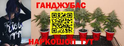 индика Бузулук