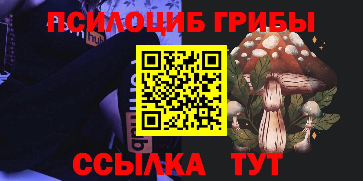 Галлюциногенные грибы GOLDEN TEACHER Тейково