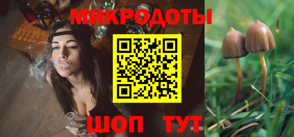 Тейково  Галлюциногенные грибы Psilocybine cubensis  Вход с VPN 